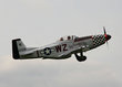 Titan T-51 Mustang - Click here for a bigger picture and more information